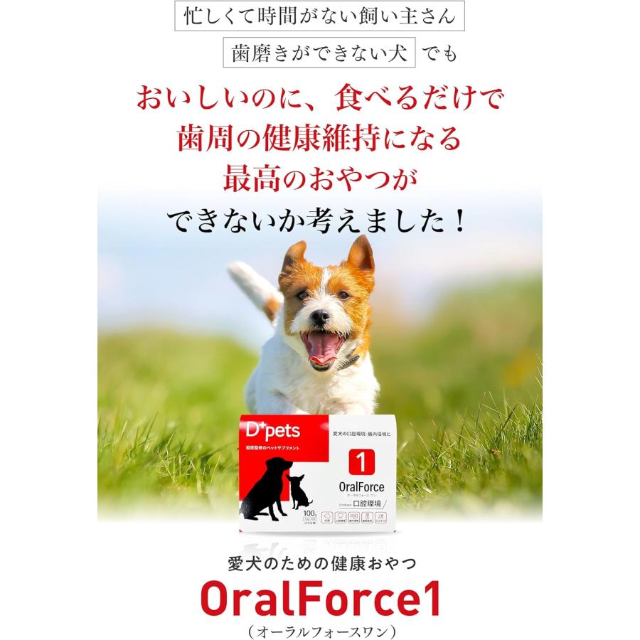 D+pets ディーペッツ Oral Force1 10g×10包 犬用 口腔環境 おやつ 歯周