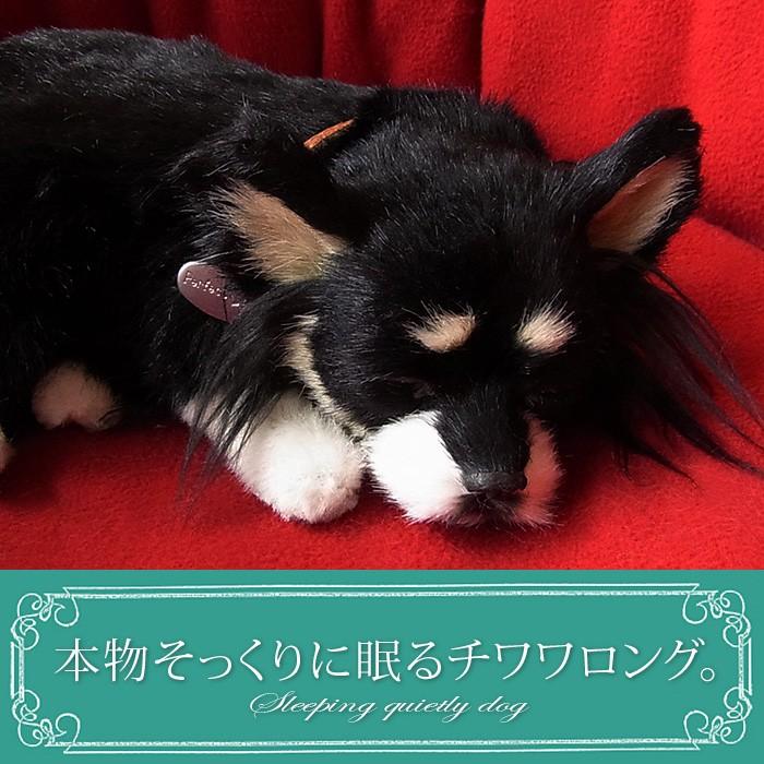 ブラックタン チワワ パピーぬいぐるみ チワワ 】大人気ブラックタン