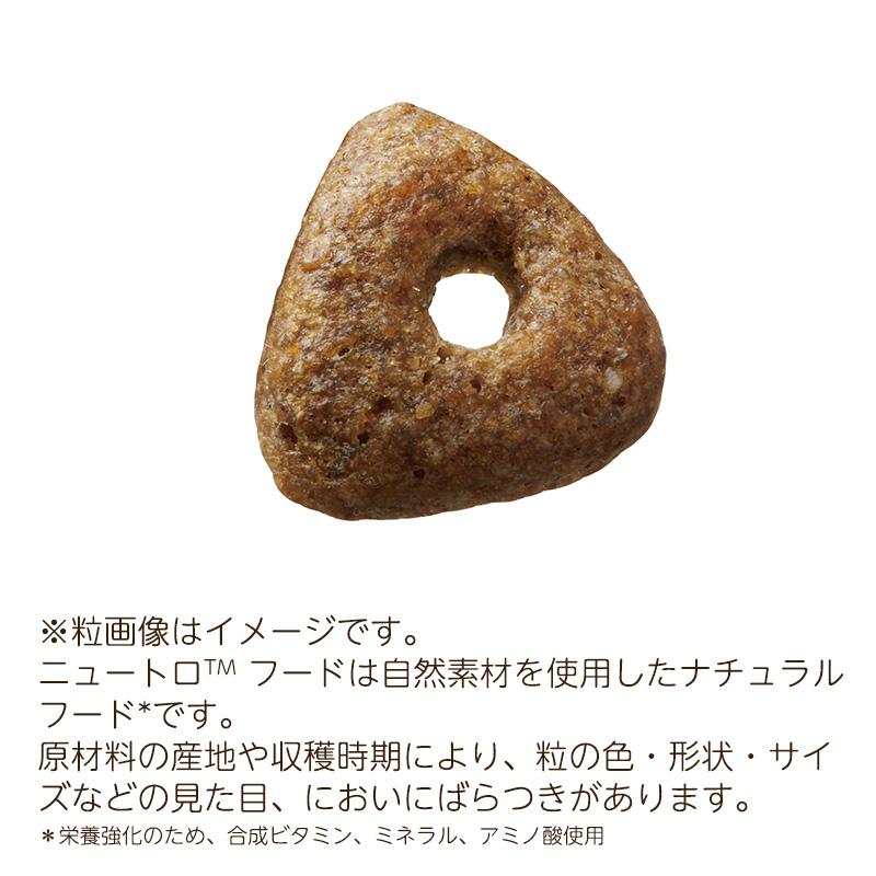 シュプレモ ニュートロ 全犬種用 エイジングケア [13.5kg] (シニア犬用