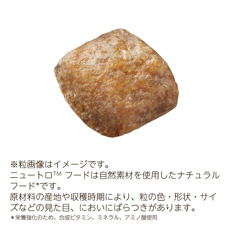 シュプレモ ニュートロ 子犬用 全犬種用 (小粒) [3kg] 正規品 NS103