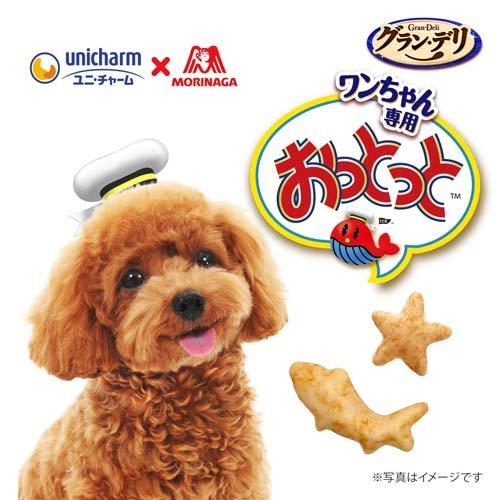 グラン・デリ ワンちゃん専用おっとっと チキン＆ベジタブル味 ( 50g