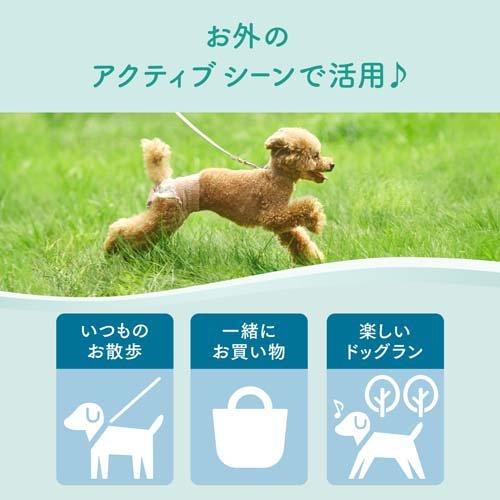 キミおもい アクティブウェア パンツタイプ S以下フリーサイズ ( 30枚