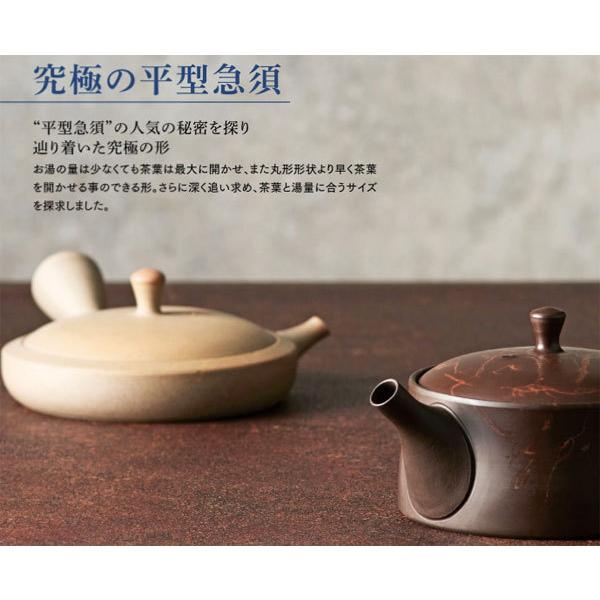 常滑焼 玉光作 茜絞り 平型急須 セラメッシュ 160cc Y311| きゅうす