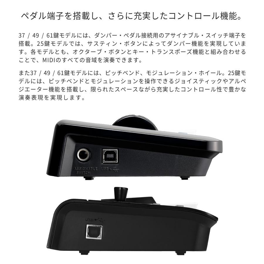 KORG（コルグ） コンパクト MIDIキーボード microKEY-25〔25鍵モデル