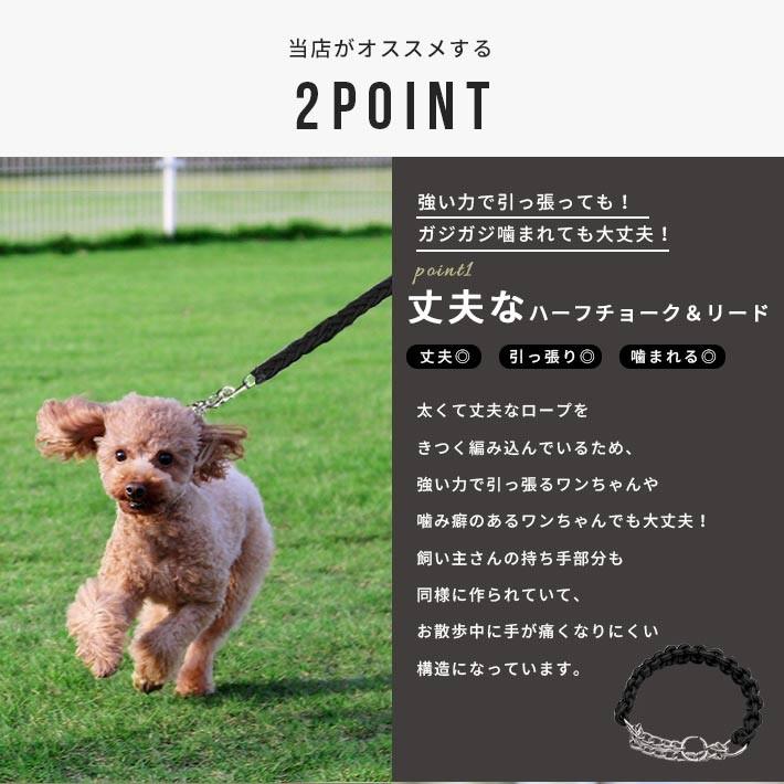 ハーフチョーク ＋ リードセット 小型犬 首輪「全4色」Sサイズ 丈夫な