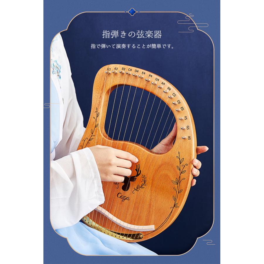 ライアー ライヤー 35弦 コロイ choroi 弦楽器 ハープ 竪琴 楽器