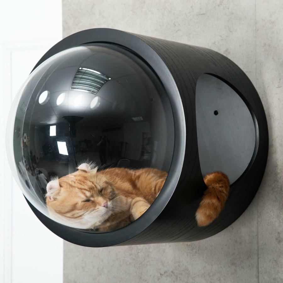 宇宙船ALPHA/ウォールナット(床置きタイプ猫用ベッド)-MYZOO【nekokobo