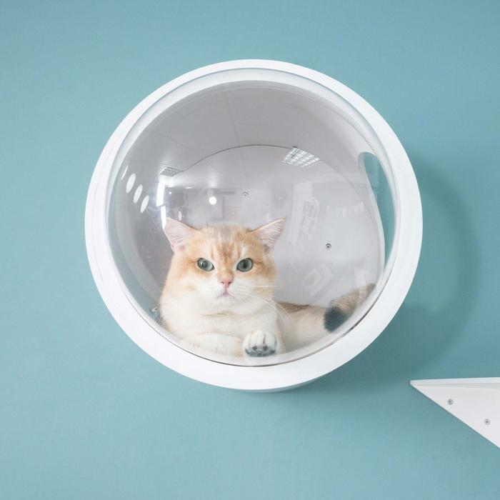 MYZOO マイズー 宇宙船GAMMA キャットハウス 木製 ドーム 壁 ペット