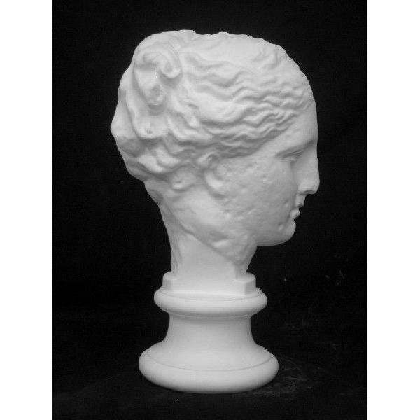 S−204 古代ヴィーナス首像（アバタのヴィーナス） : 石膏像ドット