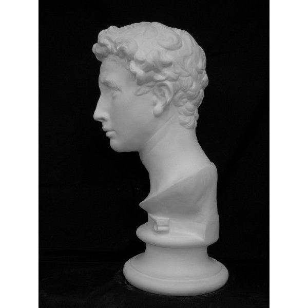 ジョルジョ首像。高さ60cm 石膏像 S−211 聖ジョルジョ首像 : 石膏