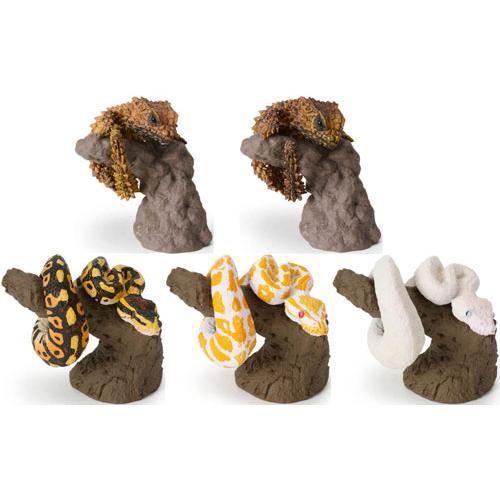 いきもの大図鑑 指まきコレクション アルマジロトカゲとボールパイソン