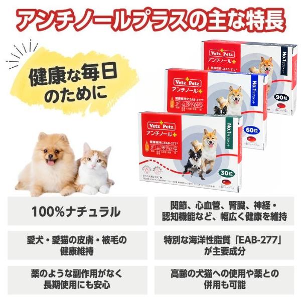 アンチノール プラス 犬用サプリメント 90粒 : セラフィーネット Yahoo