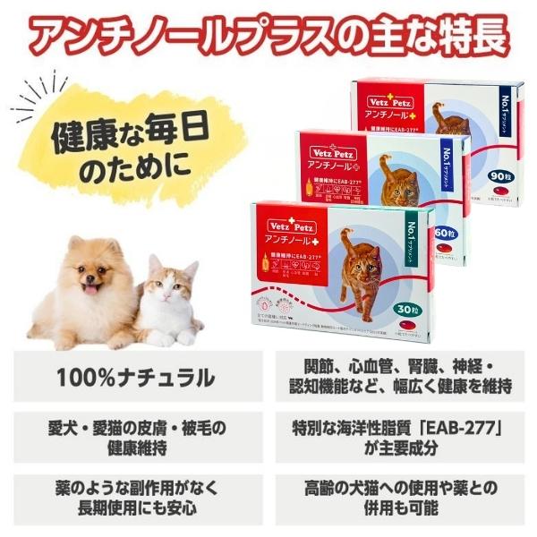 アンチノール プラス 猫用 90粒 おまけ付き アンチノール プラス 猫用
