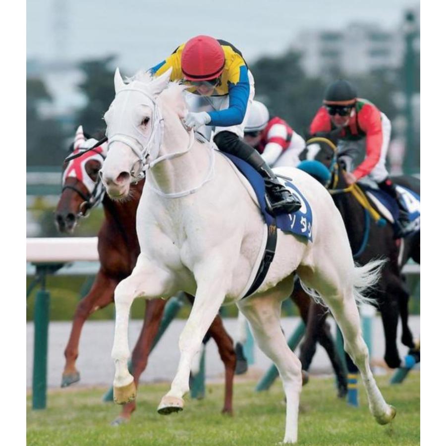 ソダシ（メイクデビュー函館Ver！） Sサイズ アイドルホース 競馬