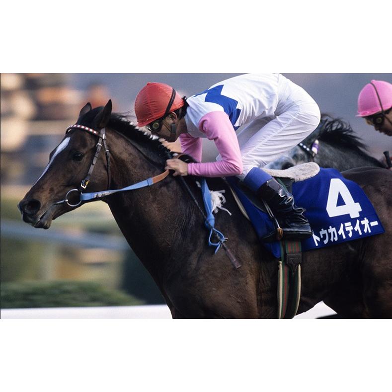 トウカイテイオー ぬいぐるみ Sサイズ 競馬 アイドルホース