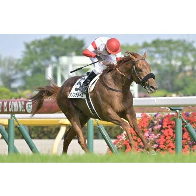 ダノンデサイル ぬいぐるみ Sサイズ アイドルホース 競馬グッズ 第91回