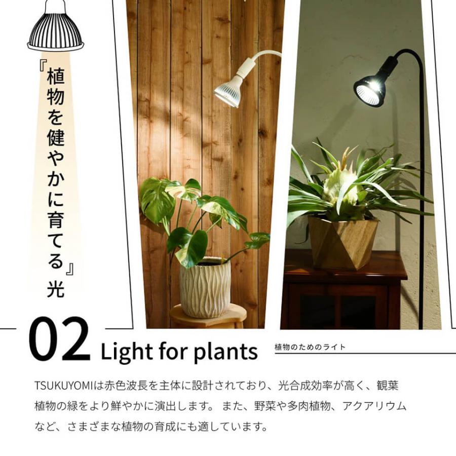ツクヨミ【LED 20W】植物育成ライト BARREL 水槽用照明 アクアリウム