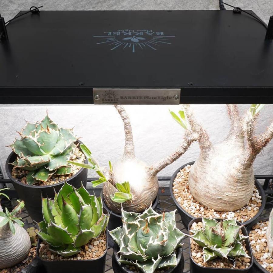 パネルライト【ROKI‐350 100W】ロキ BARREL リニューアル版 LED 植物