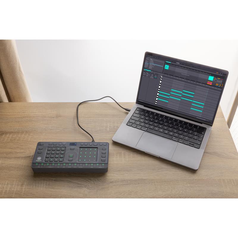 AlphaTheta TORAIZ CHORDCAT（コードキャット）(アルファシータ