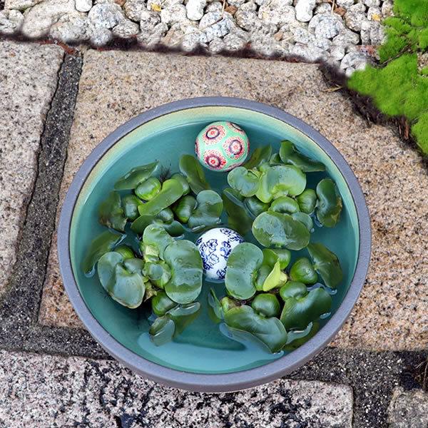 信楽焼 睡蓮鉢 メダカ鉢 おしゃれ めだか鉢 陶器 水鉢 ビオトープ