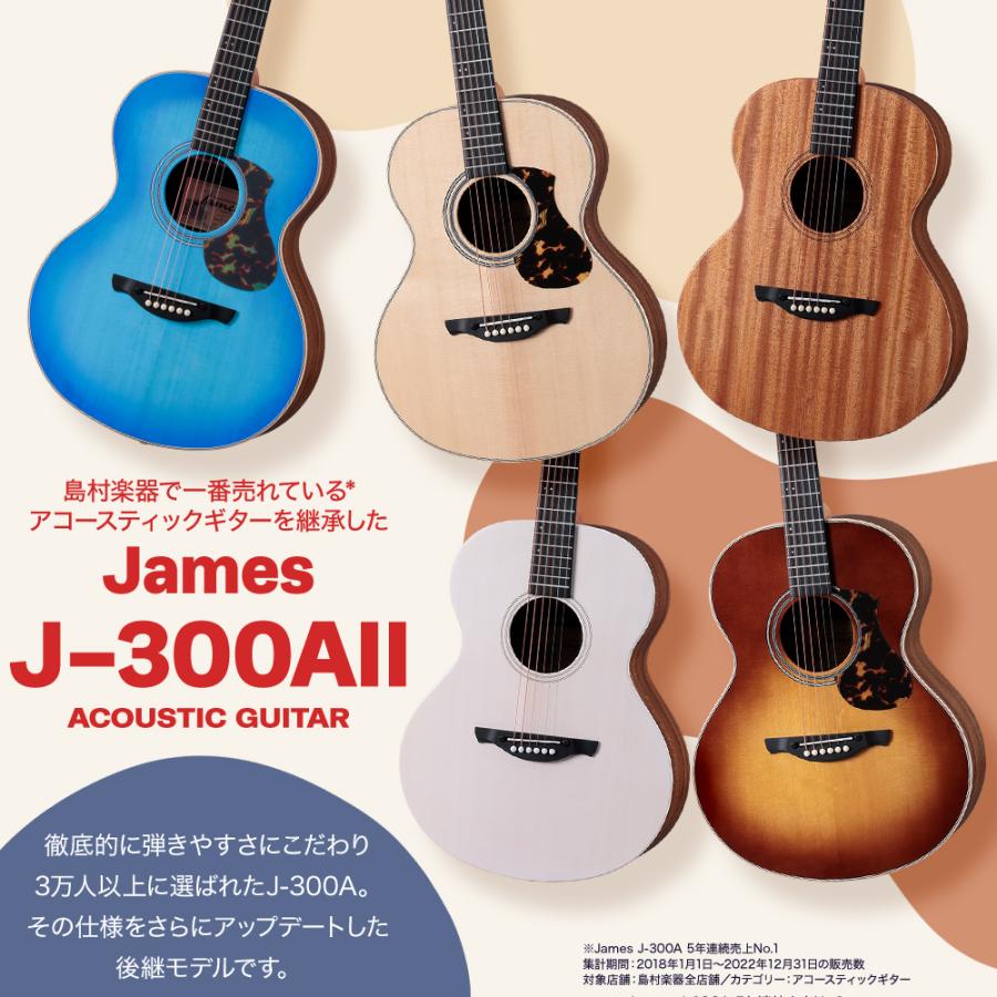 James ジェームス J-300A アコースティックギター ソフトケース付き J
