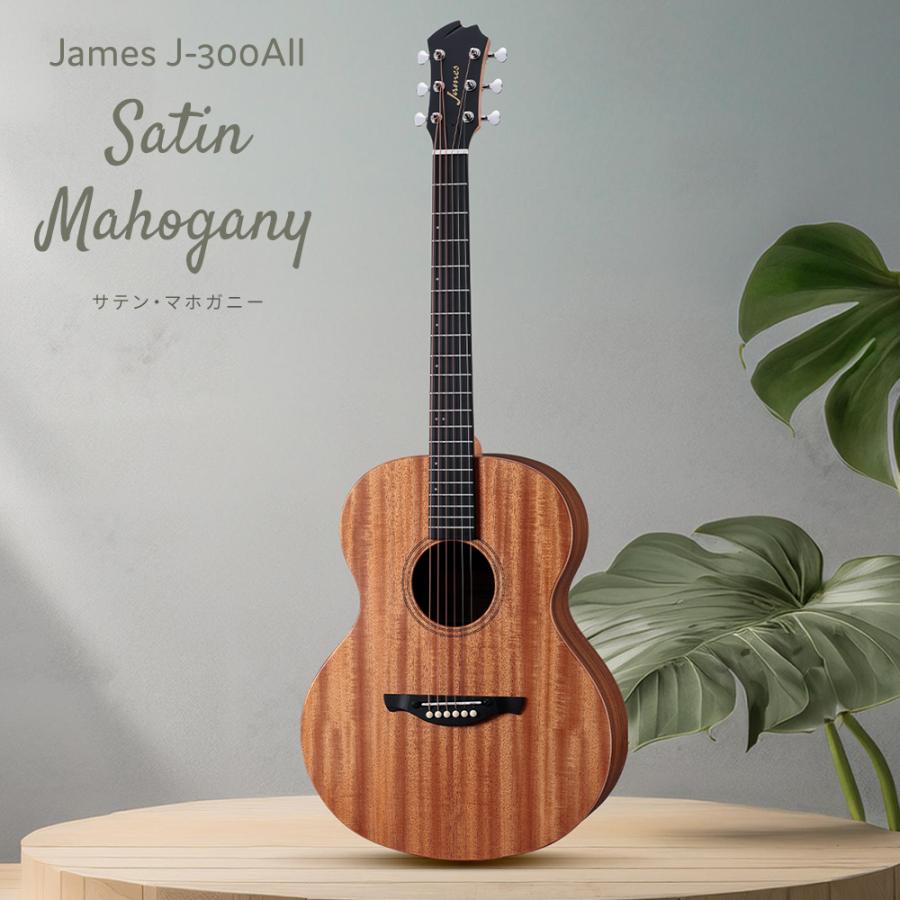 ジェームス（James） J-300AII アコースティックギター トップ単板