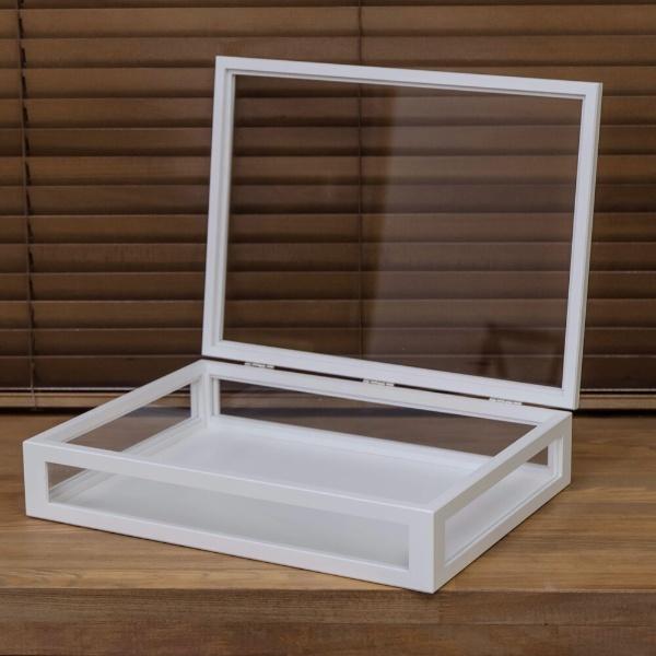 コレクションケース ガラス 大サイズ フレーム木製 ディスプレイケース