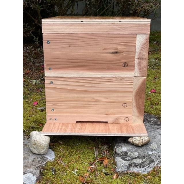 Freddo】日本みつばち用 飼育箱 重箱式巣箱 養蜂 国産 杉材 シンプル