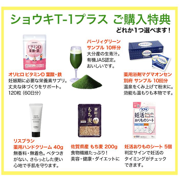 たんぽぽ茶 ショウキT-1プラス タンポポ茶 30袋 妊活 徳潤 : そらいろ