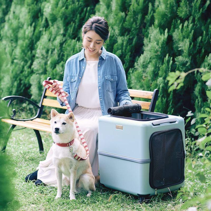 ペチコ（PETiCO） ペットキャリー iCO 3001‐L ピンクベージュ