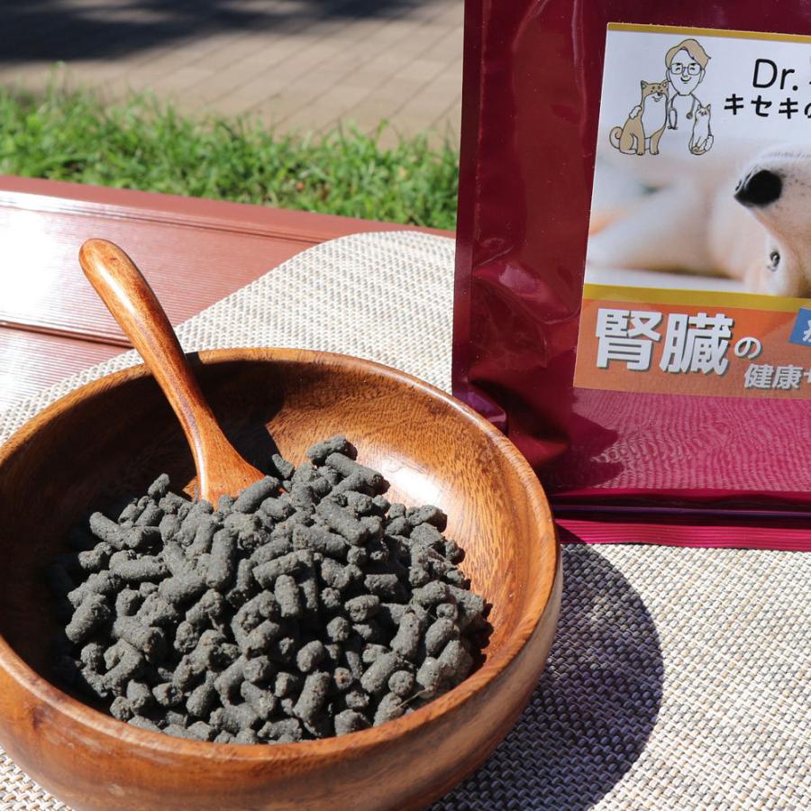 Dr.宿南のキセキのごはん ドッグフード 腎臓の健康サポート 犬用療法食
