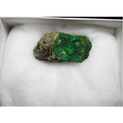 CONICHALCITE(コニカルコ石)山口県喜多平鉱山9181 : ラピス - 通販