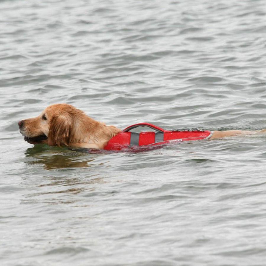 GEWALK ジウォーク ウェーブライダー ライフベスト Lサイズ カラー4色