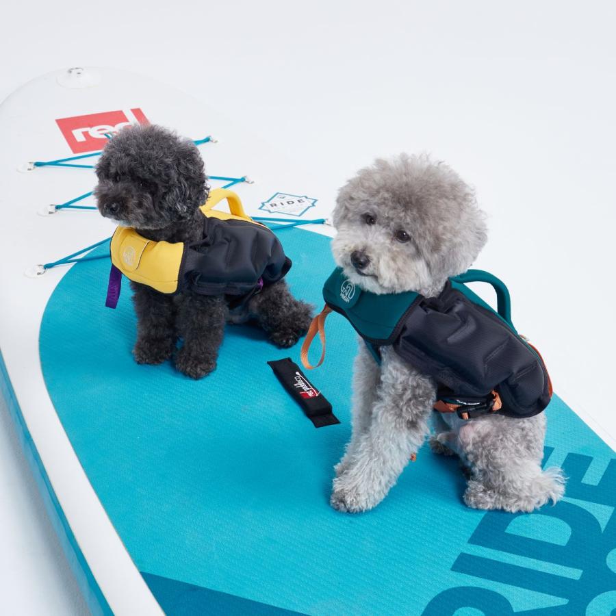 TAILHIGH テールハイ ライフジャケット Inflatable Wetsuit Sサイズ 全