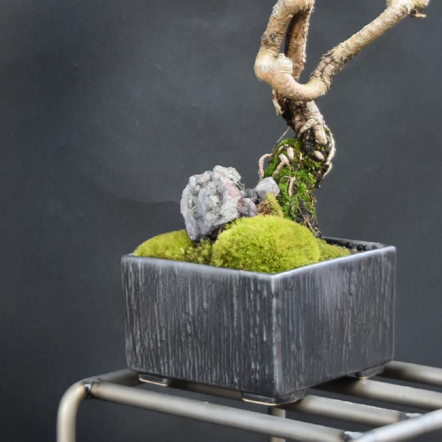 019.【陶翠窯】モッコ型3号盆栽鉢/植木鉢 019.【陶翠窯】モッコ型3号