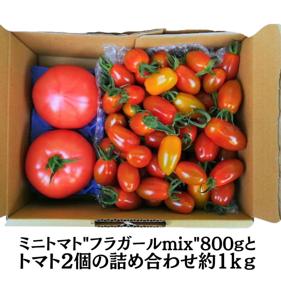 親バカトマト2個とミニトマト800gの詰め合わせ 約1kg 選べるミニ