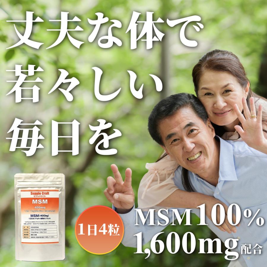 MSM100%カプセル】MSM 400mg 植物カプセル サプリメント (120カプセル