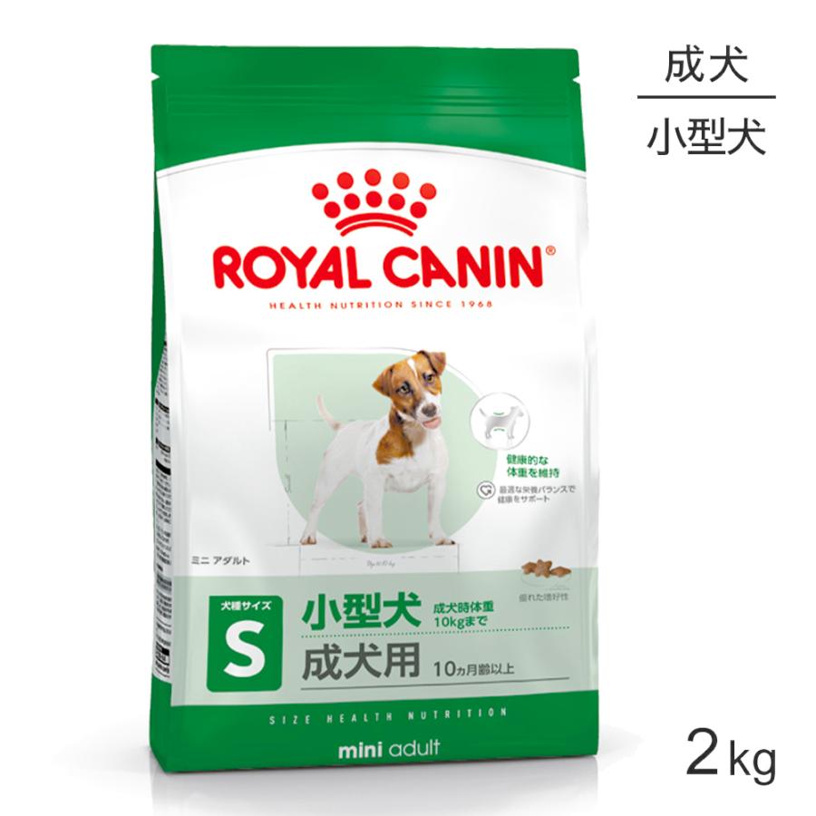 次回入荷未定【2袋セット】ロイヤルカナン シーズー 成犬用〜高齢犬用