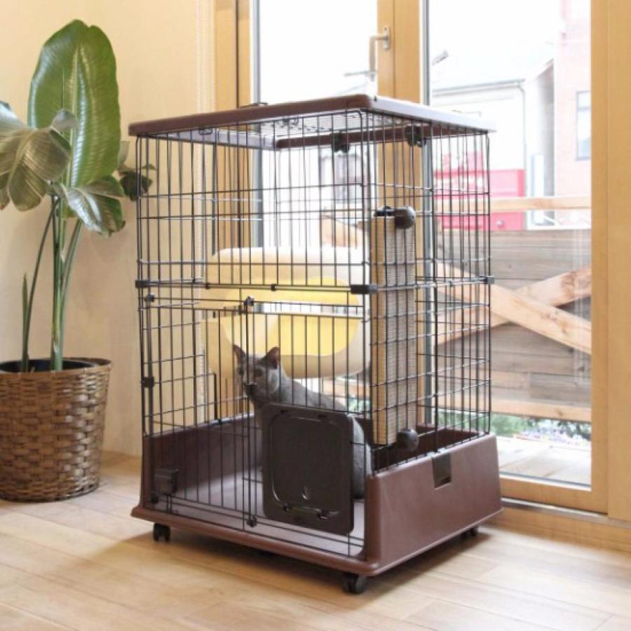 necoco ペティオ (Petio) 仔猫からのしつけにもぴったりな キャット