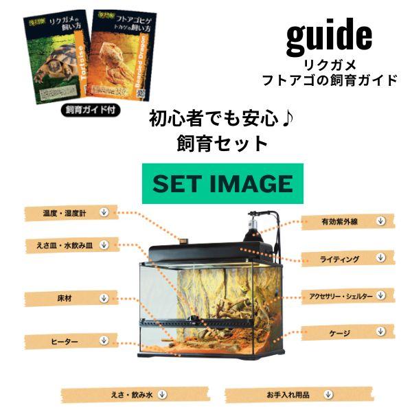 フトアゴヒゲトカゲリクガメ 飼育セット竹】PRO初心者向け｜ケージ