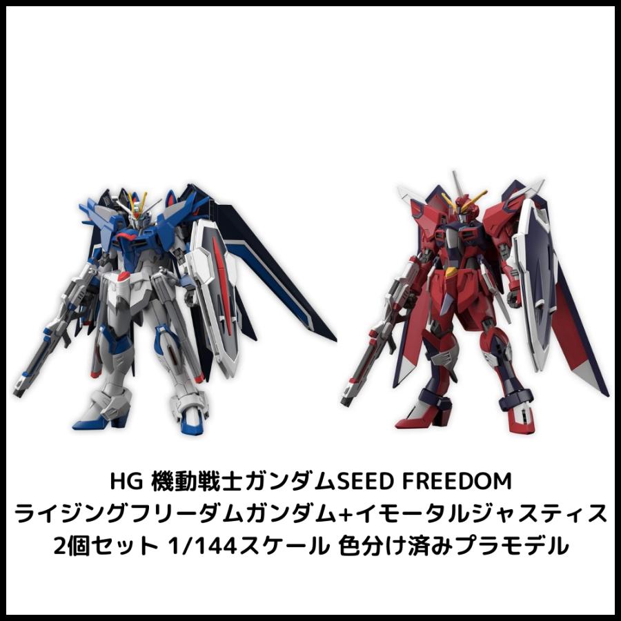 ガンダムSEED FREEDOM HG RGセット ガンプラ プラモデル 未開封