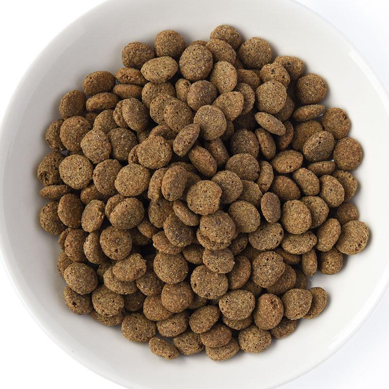 POCHI（ポチ） 食事療法食 消化器ケア 低脂肪 フレッシュターキー 3kg