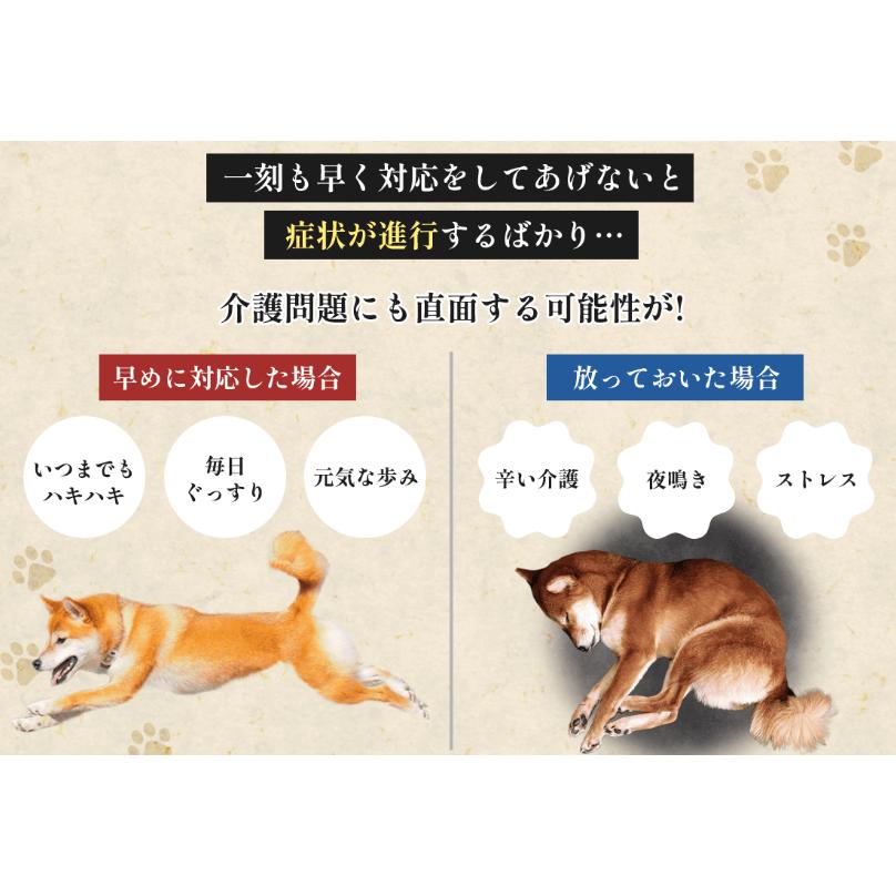 のうプラス 犬用脳ケアメディカルスティック Nou＋ (30本入り