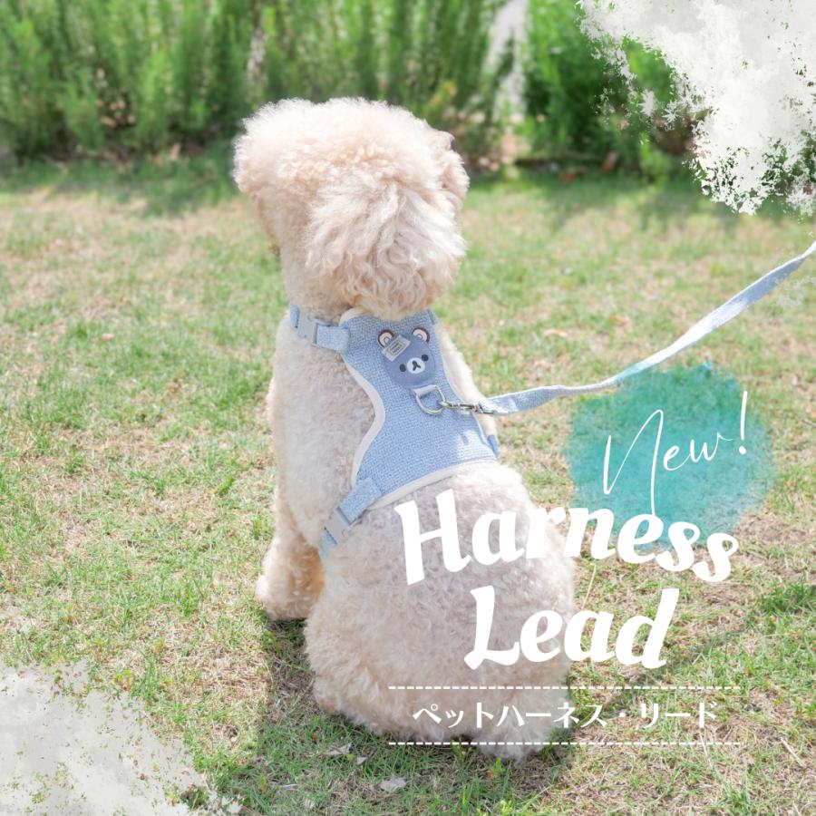 犬 ハーネス リード付き かわいい くまさん ハーネスリードセット
