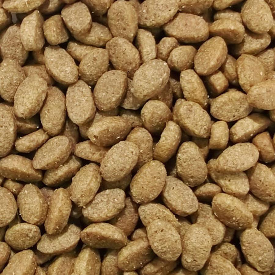 MARS ニュートロ シュプレモ 小型犬用 成犬用 3kg : ペットゴー ヤフー