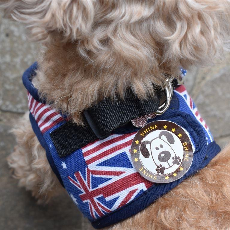 大型犬 英国高級 ハーネス リード カーラー(首輪) お散歩バック リボン