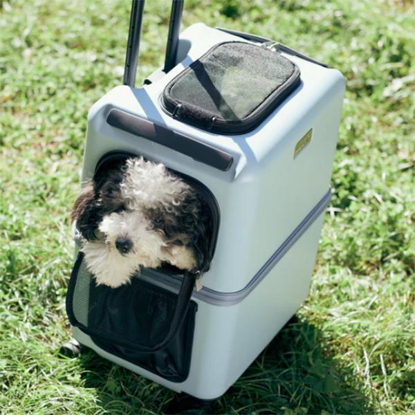 ペットキャリー PETiCO(ペチコ)・Mサイズ 3001-M 1年保証 犬 ネコ 小型