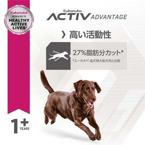 ユーカヌバ ラージ フィットボディ 体重管理用 1歳以上の大型犬用