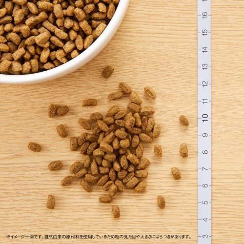 ニュートロ シュプレモ 子犬用 小粒 3kg ドッグフード ( )/ シュプレモ