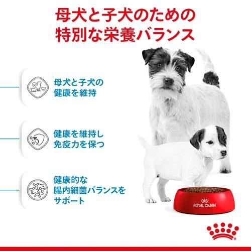 ロイヤルカナン（ROYAL CANIN） SHN ミニ スターター マザー＆ベビー
